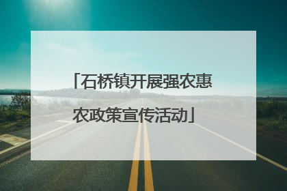 石桥镇开展强农惠农政策宣传活动
