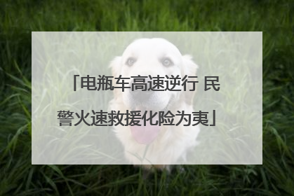 电瓶车高速逆行 民警火速救援化险为夷