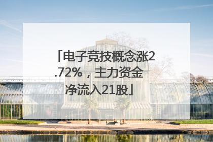 电子竞技概念涨2.72%，主力资金净流入21股