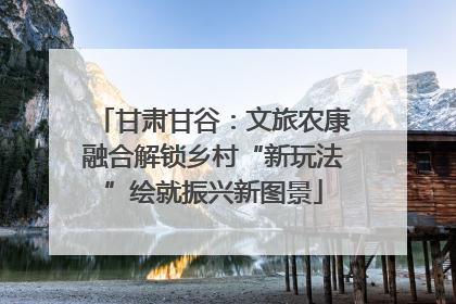 甘肃甘谷：文旅农康融合解锁乡村“新玩法”绘就振兴新图景