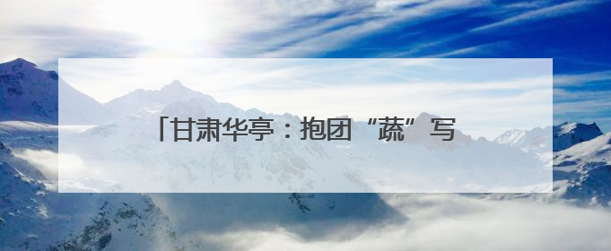 甘肃华亭：抱团“蔬”写菜文章 聚力拓宽致富路