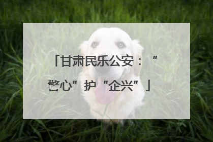 甘肃民乐公安：“警心”护“企兴”