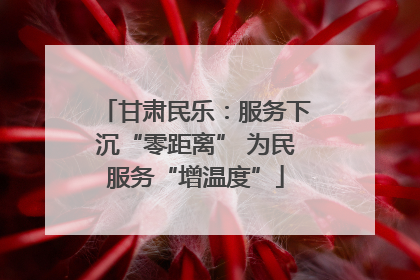 甘肃民乐：服务下沉“零距离” 为民服务“增温度”