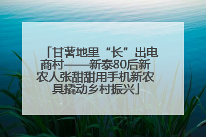 甘薯地里“长”出电商村——新泰80后新农人张甜甜用手机新农具撬动乡村振兴