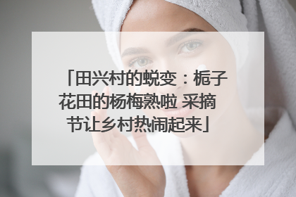田兴村的蜕变：栀子花田的杨梅熟啦 采摘节让乡村热闹起来