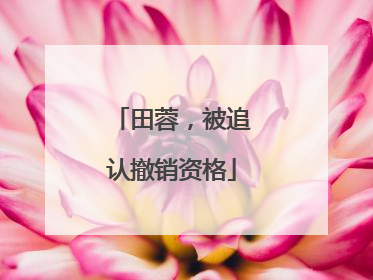 田蓉，被追认撤销资格