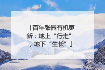 百年张园有机更新：地上“行走”，地下“生长”