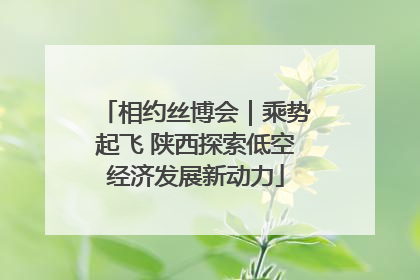 相约丝博会｜乘势起飞 陕西探索低空经济发展新动力