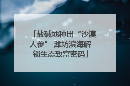 盐碱地种出“沙漠人参” 潍坊滨海解锁生态致富密码