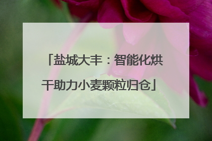 盐城大丰：智能化烘干助力小麦颗粒归仓