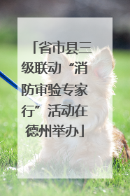 省市县三级联动“消防审验专家行”活动在德州举办