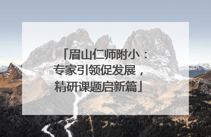 眉山仁师附小：专家引领促发展，精研课题启新篇