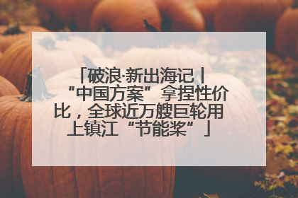 破浪·新出海记丨 “中国方案”拿捏性价比，全球近万艘巨轮用上镇江“节能桨”