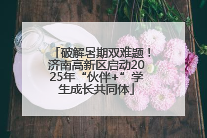 破解暑期双难题！济南高新区启动2025年“伙伴+”学生成长共同体