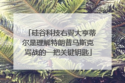 硅谷科技右翼大亨蒂尔是理解特朗普马斯克骂战的一把关键钥匙