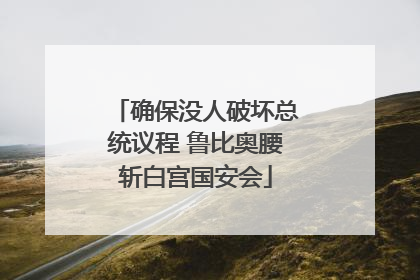确保没人破坏总统议程 鲁比奥腰斩白宫国安会