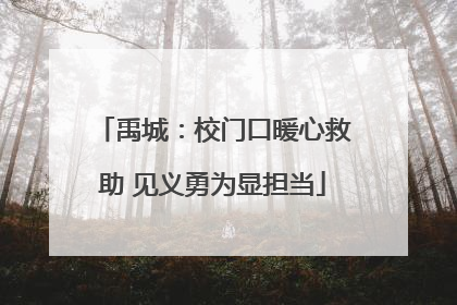 禹城：校门口暖心救助 见义勇为显担当