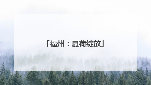 福州：夏荷绽放