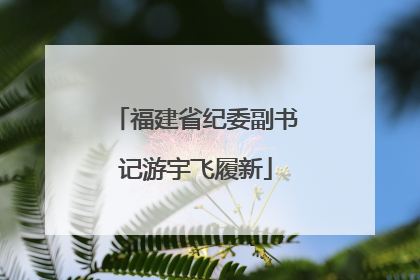 福建省纪委副书记游宇飞履新