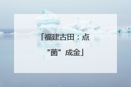 福建古田：点“菌”成金