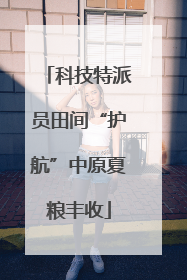 科技特派员田间“护航”中原夏粮丰收