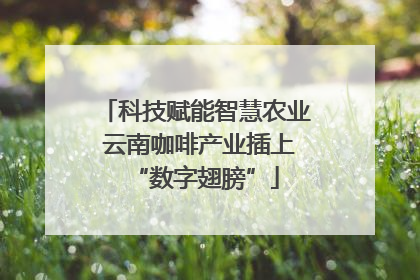 科技赋能智慧农业 云南咖啡产业插上“数字翅膀”