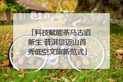 科技赋能茶马古道新生 普洱景迈山首秀低空文旅新范式