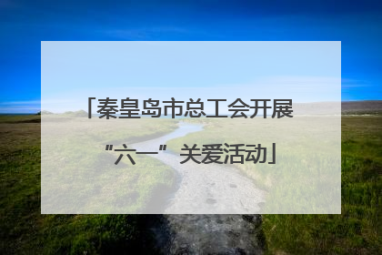 秦皇岛市总工会开展“六一”关爱活动