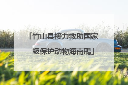 竹山县接力救助国家一级保护动物海南鳽