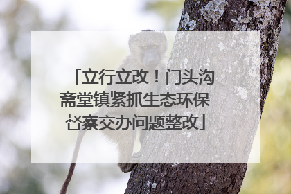 立行立改！门头沟斋堂镇紧抓生态环保督察交办问题整改