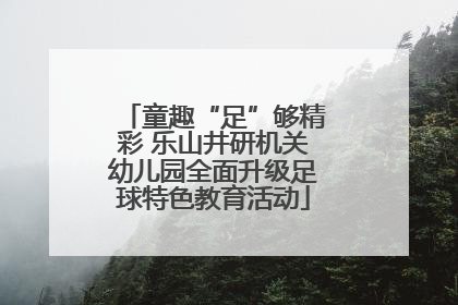 童趣“足”够精彩 乐山井研机关幼儿园全面升级足球特色教育活动