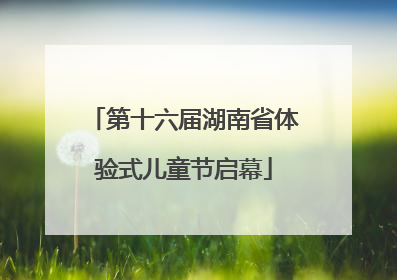 第十六届湖南省体验式儿童节启幕