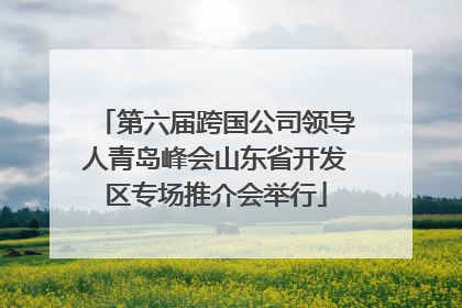 第六届跨国公司领导人青岛峰会山东省开发区专场推介会举行