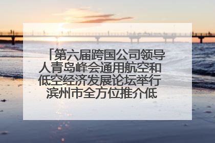 第六届跨国公司领导人青岛峰会通用航空和低空经济发展论坛举行 滨州市全方位推介低空经济发展优势