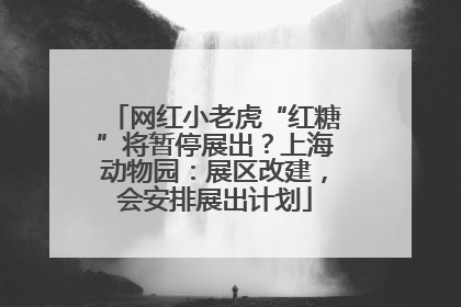 网红小老虎“红糖”将暂停展出？上海动物园：展区改建，会安排展出计划