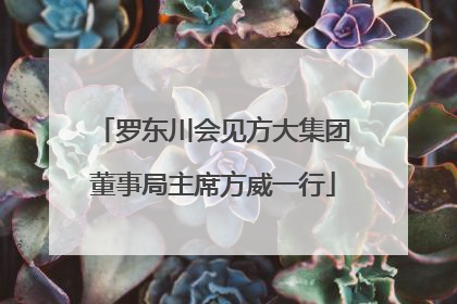 罗东川会见方大集团董事局主席方威一行