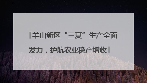 羊山新区“三夏”生产全面发力，护航农业稳产增收