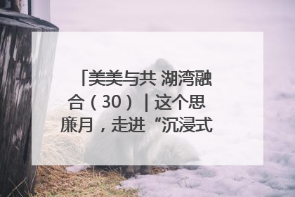 美美与共 湖湾融合（30）｜这个思廉月，走进“沉浸式”清风课堂