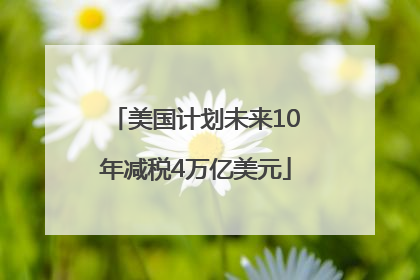 美国计划未来10年减税4万亿美元