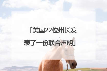 美国22位州长发表了一份联合声明