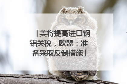 美将提高进口钢铝关税，欧盟：准备采取反制措施