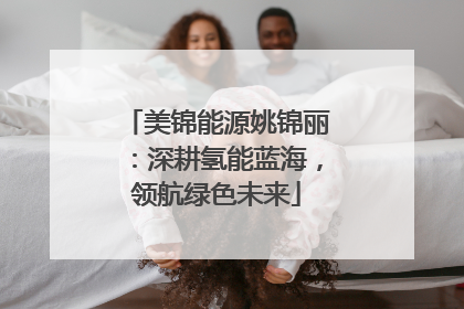 美锦能源姚锦丽：深耕氢能蓝海，领航绿色未来