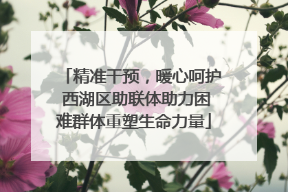 精准干预，暖心呵护 西湖区助联体助力困难群体重塑生命力量
