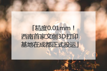 精度0.01mm！西南首家文创3D打印基地在成都正式投运