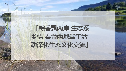 粽香飘两岸 生态系乡情 奉台两地端午活动深化生态文化交流