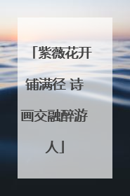 紫薇花开铺满径 诗画交融醉游人