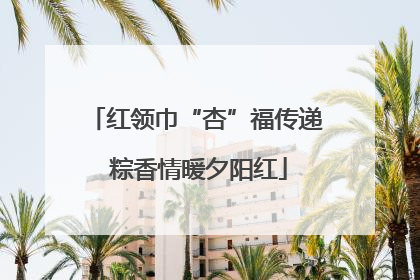 红领巾“杏”福传递 粽香情暖夕阳红