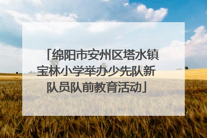 绵阳市安州区塔水镇宝林小学举办少先队新队员队前教育活动