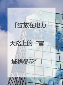 绽放在电力天路上的“雪域格桑花”