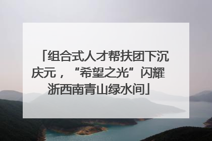 组合式人才帮扶团下沉庆元，“希望之光”闪耀浙西南青山绿水间